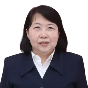 Dr. Ir. Indrajani, S.Kom.,M.M